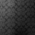 Premium Quality Leather Design Pattern NO. : Coach-008