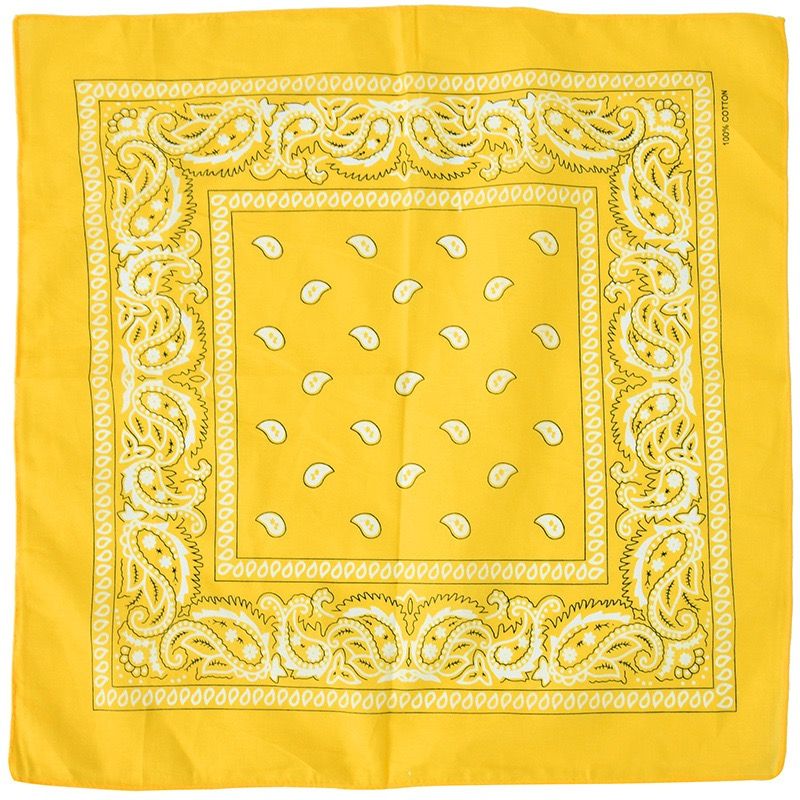 Charms Decorative Custom Craft Cotton Paisley Bandana Item NO.: ACC-004