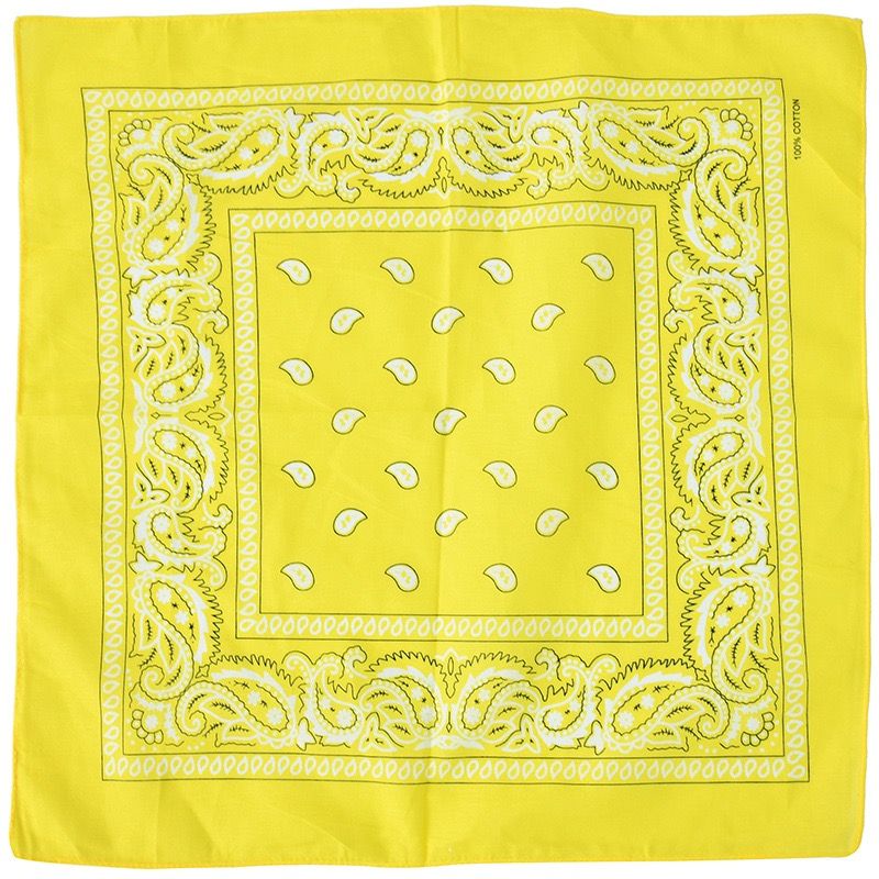 Charms Decorative Custom Craft Cotton Paisley Bandana Item NO.: ACC-004
